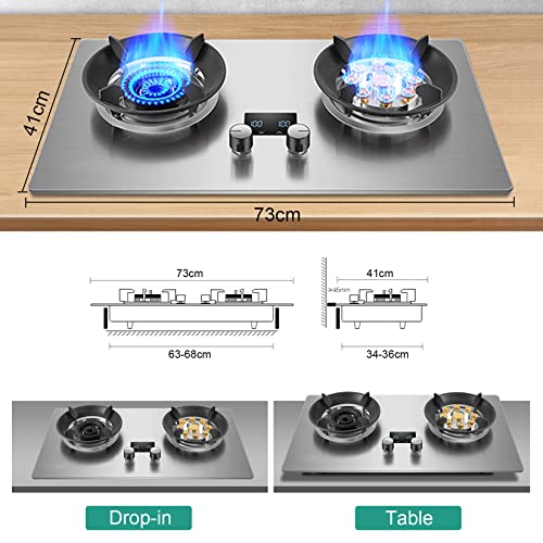 DropIn 2 Burners Gas Cooktop, Stainless Steel Gas Stovetop, Dual