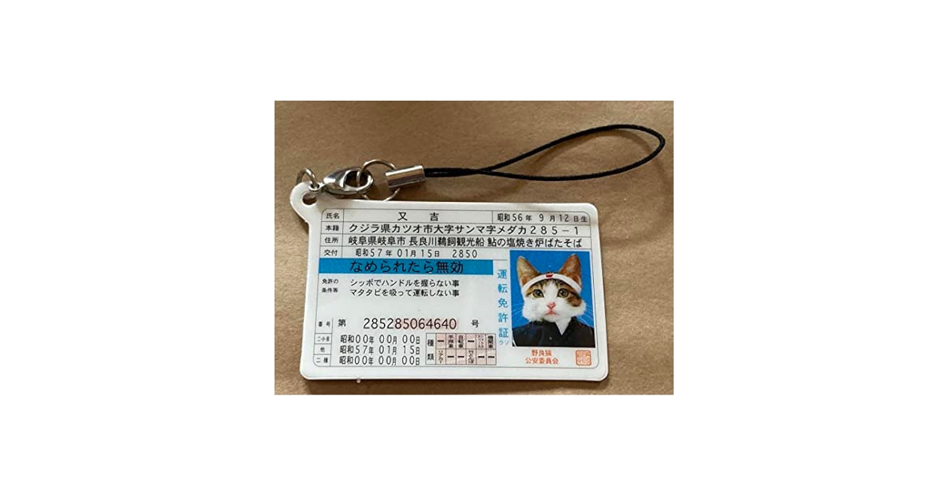 Amazon.co.jp: 元祖 なめ猫 なめんなよ なめねこ 又吉
