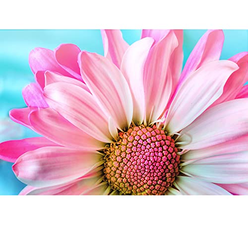 1000 Piece Puzzles for Adults Flower Puzzles - Colorful Thick Puzzle for Kids&Teens&Elder Challenge Family Puzzle Unique Cut Puzzle with Letters on Back Size:75cmx50cm(25.93inx19.69in)