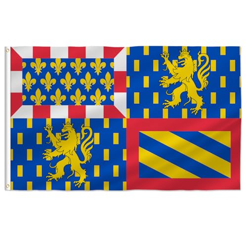 PTEROSAUR Drapeau de la Bourgogne-Franche-Comté avec œillets en laiton pour décoration intérieure et extérieure (Bourgogne-Franche-Comté, 0,9 x 1,5 m)