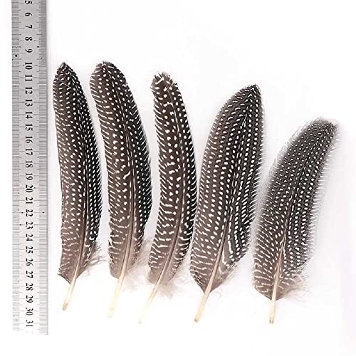 5 Pcs 15-20Cm Natural Polka Dot Guinea Fowl Wing Feathers Pheasant Feathers For Diy Crafts Decoration Collection Wedding Party Home Decorations #TOP4