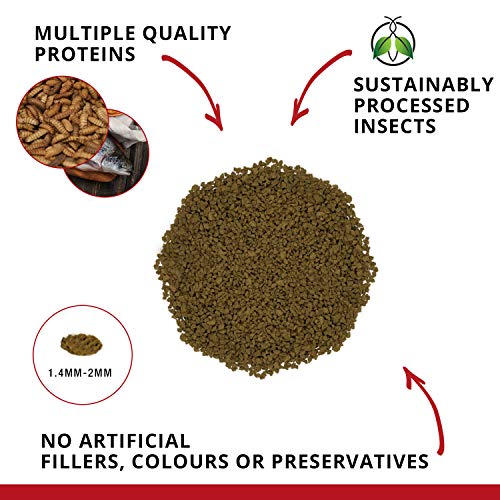 Fluval Bug Bites Cichlid Granule Fish Food 45g - Image 3