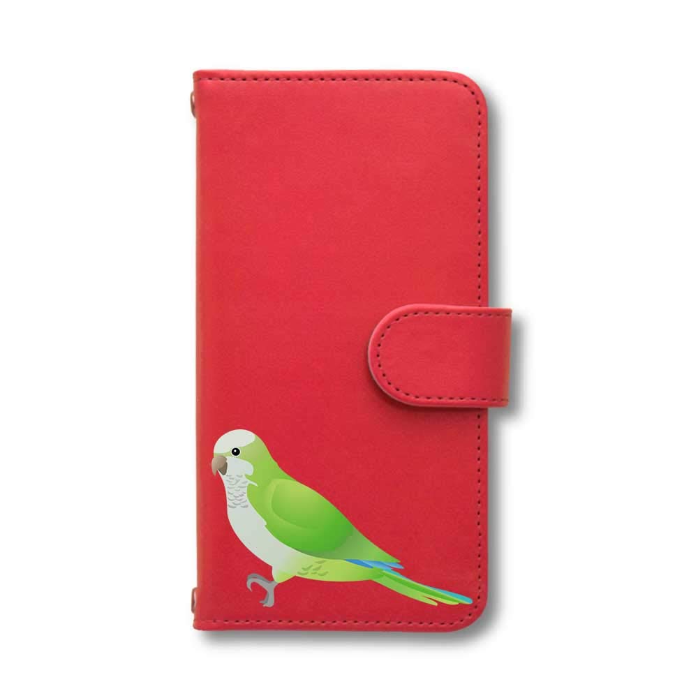 HUAWEI - すかいんこ ホンセイインコ | 動物図鑑 | ZFC.jp
