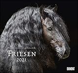 Friesen 2021 – Edle Pferde – Fotografiert von Christiane Slawik – DUMONT-Wandkalender –...