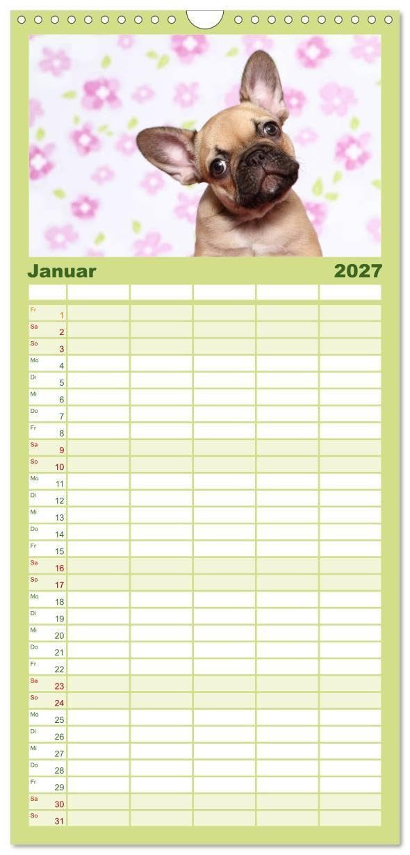 Familienplaner 2027 - Der Bully - Kalender Familienplaner hoch mit 5 Spalten (Wandkalender, 21 x 45 cm) CALVENDO: Geburtstagskalender für alle Bully-Fans