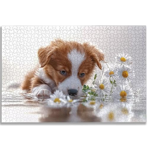  WO\[pY 5000s[X l  WO\[pY ؐ Puzzle 156x105 cm t l   Puzzle z[fR[VɍœKAւ̃MtgAjւ̃MtgA-1601