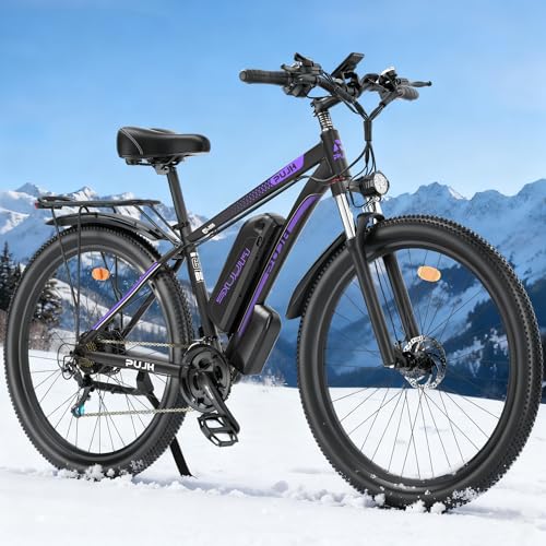 PUJH 1500W Fast Ebike
