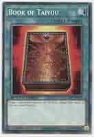 bayou 英語1枚 bayou 英語1枚 bayou 英語1枚 MTG Bayou 英語 SP