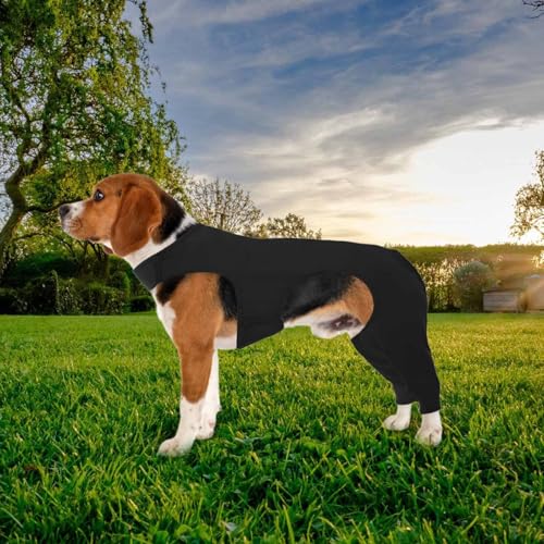 Manchon réglable pour pattes de chien guérit les blessures