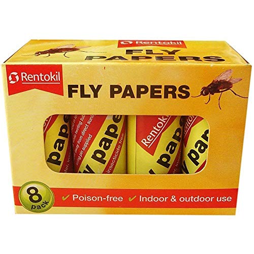 Top 10 Fly Papers of 2021 Best Reviews Guide