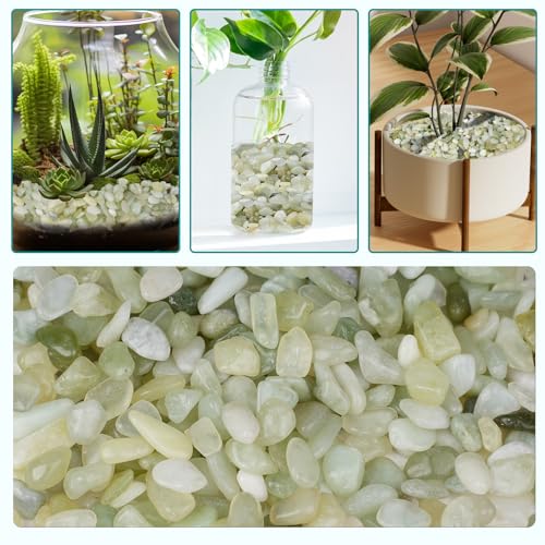 Image of 2.5 lbs Jade Pebbles for Indoor Plants, 1 /5 Inch Succulent and Cactus Pebbles, Decorative Gravel for Vases, Bamboo,Terrarium, Crafts, Cactus