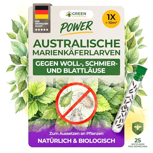 GREEN GUARDIA Australische Marienkäfer Larven gegen Wollläuse Schmierläuse & Blattläuse 1X Röhrchen für 10 m Natürliche Schädlingsbekämpfung ohne Chemie