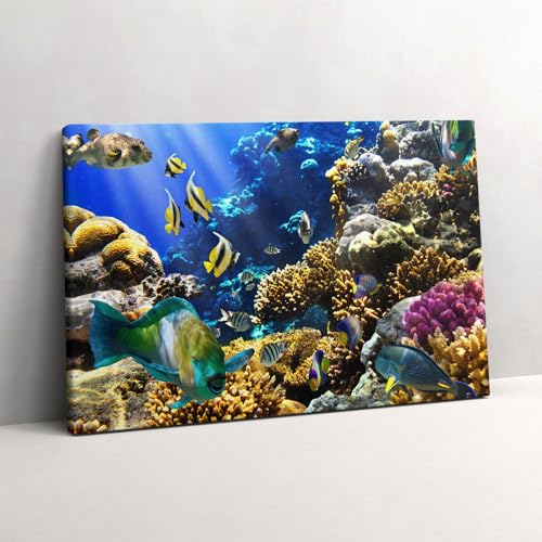 Tableaux 60x40cm de poissons coralliens pour salon lumineux