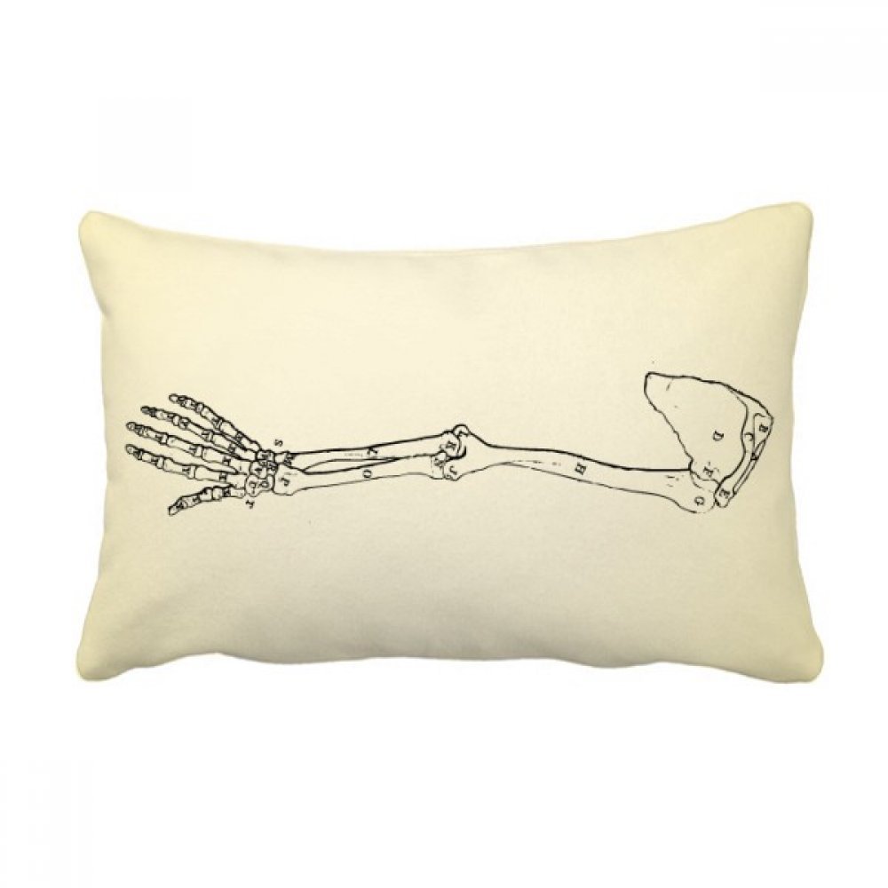 Coussin Lombaire Os du Bras DIYthinker Oreiller de Canapé Esquisse Anatomique Salon Cabinet