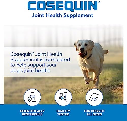 Cosequin Max Strength Soft Chew, 60 Count - 1