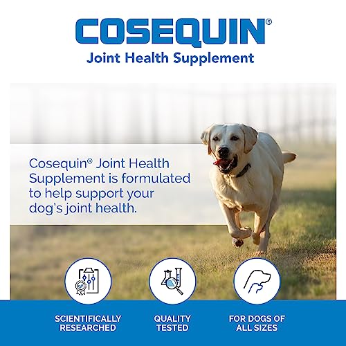 Cosequin Max Strength Soft Chew, 60 Count