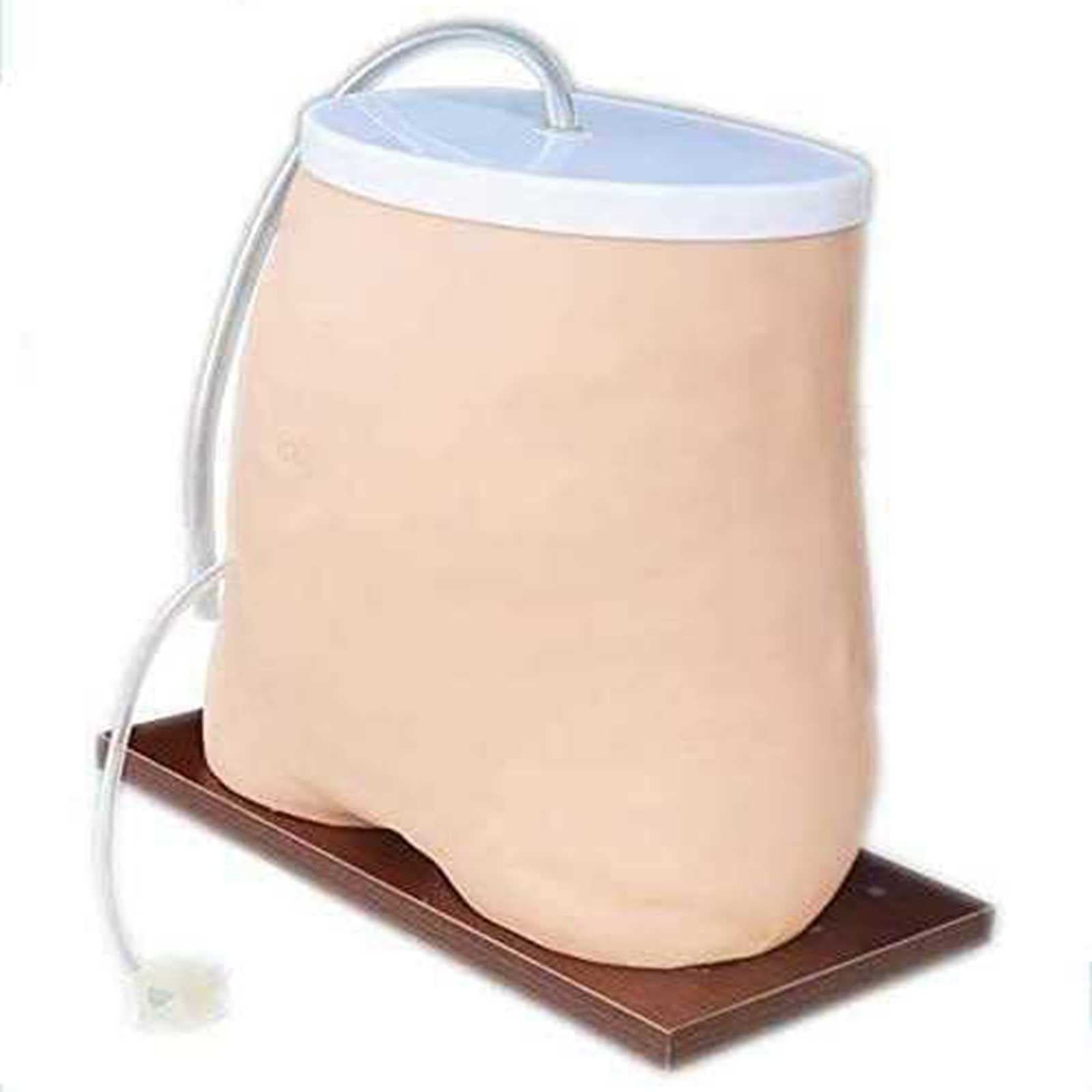 Modèle Anatomique de l'abdomen, simulateur de dialyse péritonéale, modèle de Mannequin d'anatomie de modèle de dialyse péritonéale sur l'éducation dans l'éducation pour la démonstr,