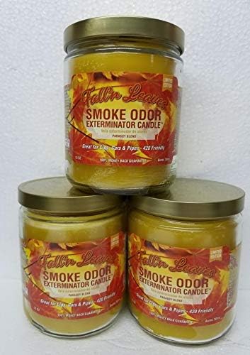 Smoke Odor Exterminator 13oz Jar Candles (Fall N Leaves, 3)