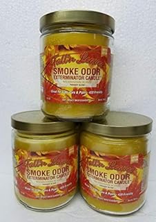Smoke Odor Exterminator 13oz Jar Candles (Fall N Leaves, 3)