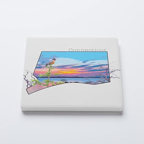 Miniatura 2 de Posavasos Joyride para decoración del hogar, posavasos de cerámica individual, cuadrado individual de 4 pulgadas, parte trasera de corcho