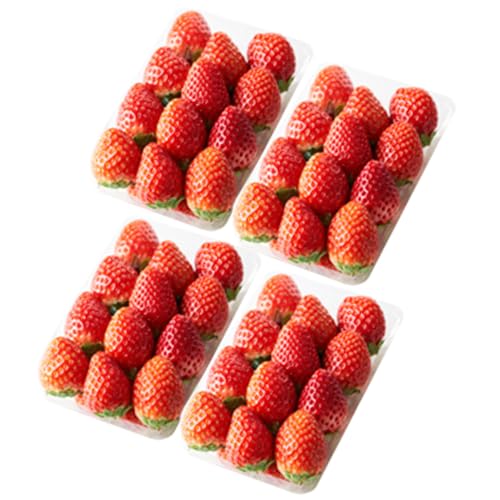 [2026年出荷先行予約]熊本県産 いちご ゆうべに 1kg (250g×4パック) 令和8年3月〜発送