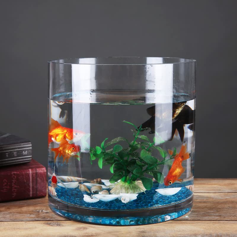 Amazon | 金魚鉢直ガラス水槽 円筒形 タートルタンク ぬいぐるみ
