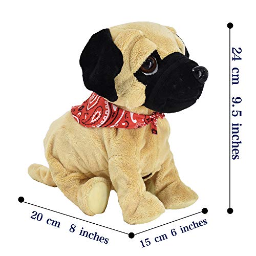 WEofferwhatYOUwant Carlino Pug Daddy | Cagnolino