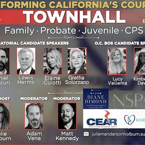 The Flying Monkey Podcast Ep 10 - Orange County California Court Reform Town Hall
