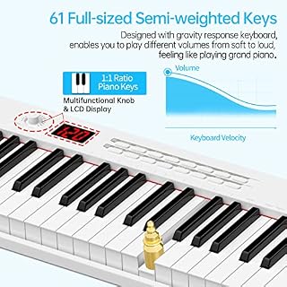 TERENCE Piano Numérique 61 Touches semi-lestées avec Batterie de 1750mAh et interface MIDI avec Touches Lumineuses… - Les Beatles, Paul McCartney, John Lennon, RIngo Starr, George Harrison TERENCE Piano Numérique 61 Touches semi-lestées avec Batterie de 1750mAh et interface MIDI avec Touches Lumineuses… – Image 5