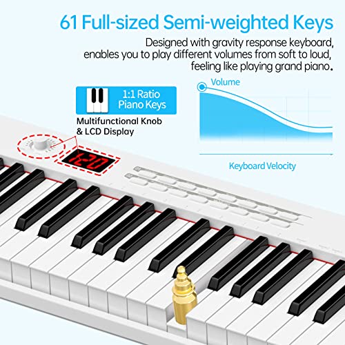 TERENCE Piano Numérique 61 Touches semi-lestées avec Batterie de 1750mAh et interface MIDI avec Touches Lumineuses… - Les Beatles, Paul McCartney, John Lennon, RIngo Starr, George Harrison TERENCE Piano Numérique 61 Touches semi-lestées avec Batterie de 1750mAh et interface MIDI avec Touches Lumineuses… – Image 6
