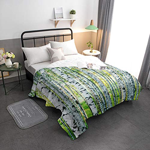 Cool Summer Bedspread Quilt Summer Lush Green Birch Grove All-Season Comforter Duvet Insert or Stand-Alone Comforter, Comfortable Air Conditioning Bed/Sofa Blanket for Adults Kids 98x98in