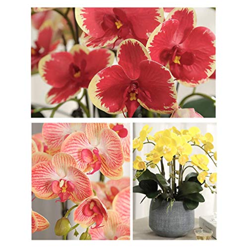 Fausse fleur avec pot orchidée et fleurs artificielles