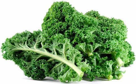 Brassica Leave Kale (Edible) Green Leaves, 40 Seeds Pack by Seedscare