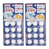 2 Pack Toilet Cleaner Tablets Toilet Blocks for Cisterns,Toilet Cistern Blocks,Toilet Cistern Cleaner,Bleach Tablets for Toilet,Bleach Toilet Block White for All Types of Toilets (24 Blocks Total)