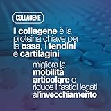 Zoom IMG-2 collagene e acido ialuronico con Zoom IMG-2 collagene e acido ialuronico con