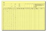 Payroll Form - Data Sheet for Computerized Payrolls (100)