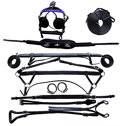 Equitem Black Leather Pony Size Driving Show Training Cart Harness with Blue Trim
