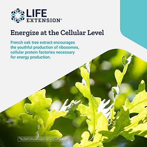 Life Extension Energy Renew 200Mg - French Oak Wood Extract Supplement For Healthy Energy Production And Immune Support - Non-Gmo, Gluten Free, Vegetarian - 30 Capsules #TOP3
