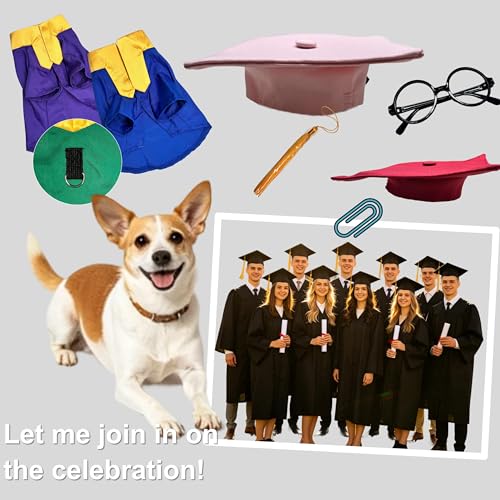 Disfraz de graduación para mascotas 5 piezas, azul marino, talla pequeña miniatura 5