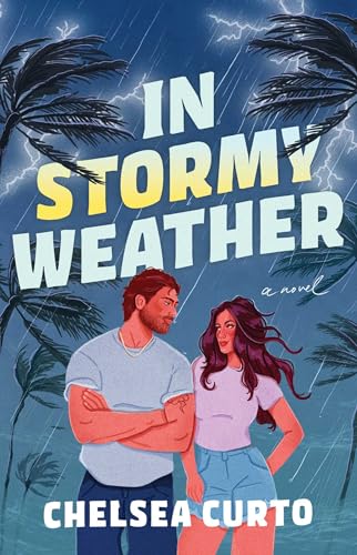 In Stormy Weather: A Novel (English Edition)