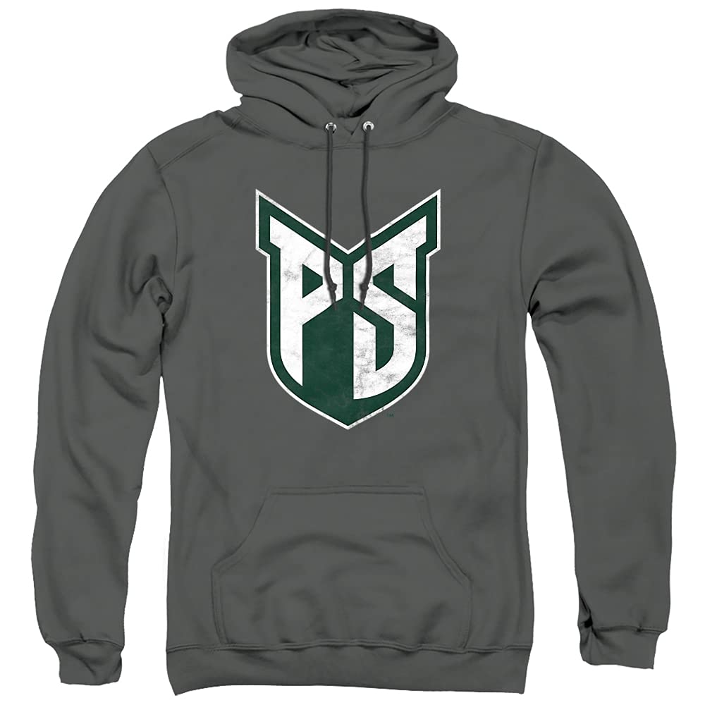 LOGOVISION Official Collegiate Distressed Primary Logo Adult Pullover Hoodie Collection — view 536