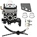 Hilom Carburetor Carb for Honda GX25 GX25N GX25NT FG110 FG110K1 HHT25S 4 Cycle Engine Replaces 16100-Z0H-825