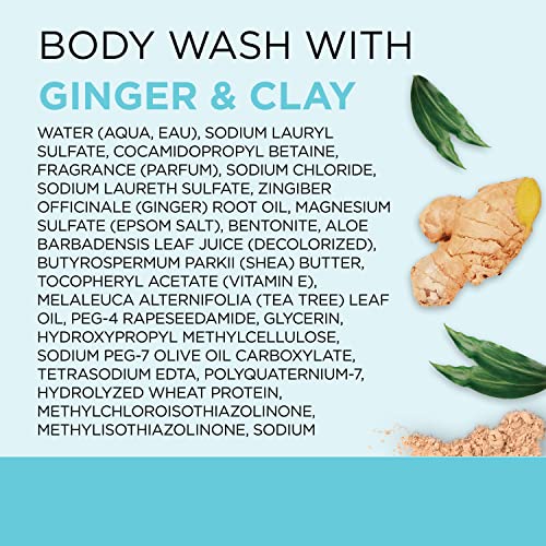 Dr Teal's Body Wash With Pure Epsom Salt, Detoxify & Energize With Ginger & Clay, 24 Fl Oz (Pack Of 4) (Packaging May Vary) #TOP6