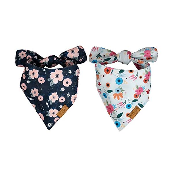 Remy+Roo Dog Bandanas – 2 Pack | Irene Set | Premium Durable Fabric | Unique Shape | Adjustable Fit | Multiple Sizes Offered | (Large) Remy+Roo Dog Bandanas – 2 Pack | Irene Set | Premium Durable Fabric | Unique Shape | Adjustable Fit | Multiple Sizes Offered | (Large)