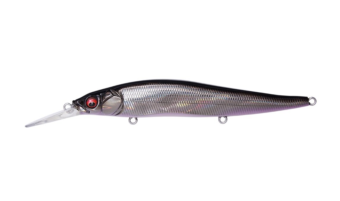 Amazon.com : Megabass Vision 110+1 GG Deadly Black Shad Jerkbait