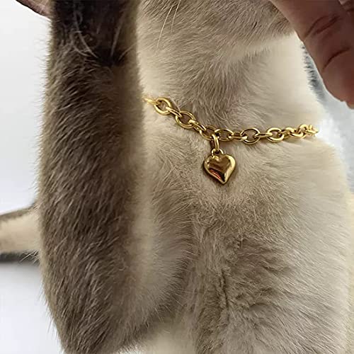Image of HOWWFALY Dog Collar and Cat Chain Necklace Stainless Steel Adjustable 18K Gold Heart-Shaped Necklace for Small Pets Cats Kitten Puppy (Gold, 12 inch)