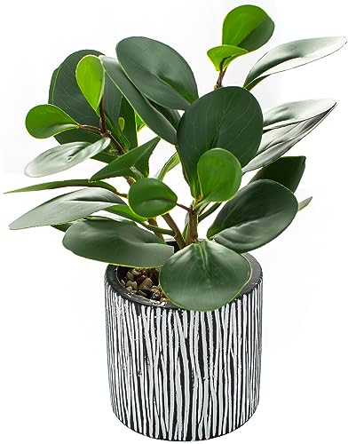 AlphaAcc Small Plants for Shelf Decor Real Looking Greenery Artificial Plants Indoor Potted Fake Plant with Rustic Black Clay Planter (ARTGRS230609-2)