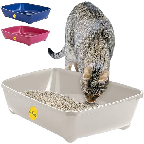 CAT CENTRE Grey Jumbo Open Cat Litter Tray 56cm XL Pet Toilet Kitten Easy Clean Plastic Portable Pan Loo Box Rounded Corners - Indoor & Outdoor - Kittens Adult Elderly Cats Trays Easy Access