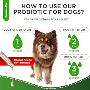   Probiotics-for-Dogs-Liquid-Probiotics-for-Dogs-Prebiotic-for-Dogs-Digestive-Enzymes-Puppy-Probiotic-Dog-Probiotics-and-Digestive-Enzymes-2-Oz