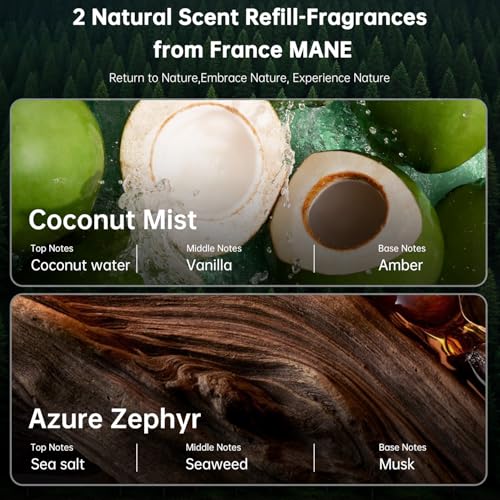 Image of Wood Car Air Freshener Vent Clip, 2-Pack Long Lasting Natural Car Freshener | Plant-Extract Fragrances from MANE France, Hidden Vent Clip & 4 Refill Pads Included